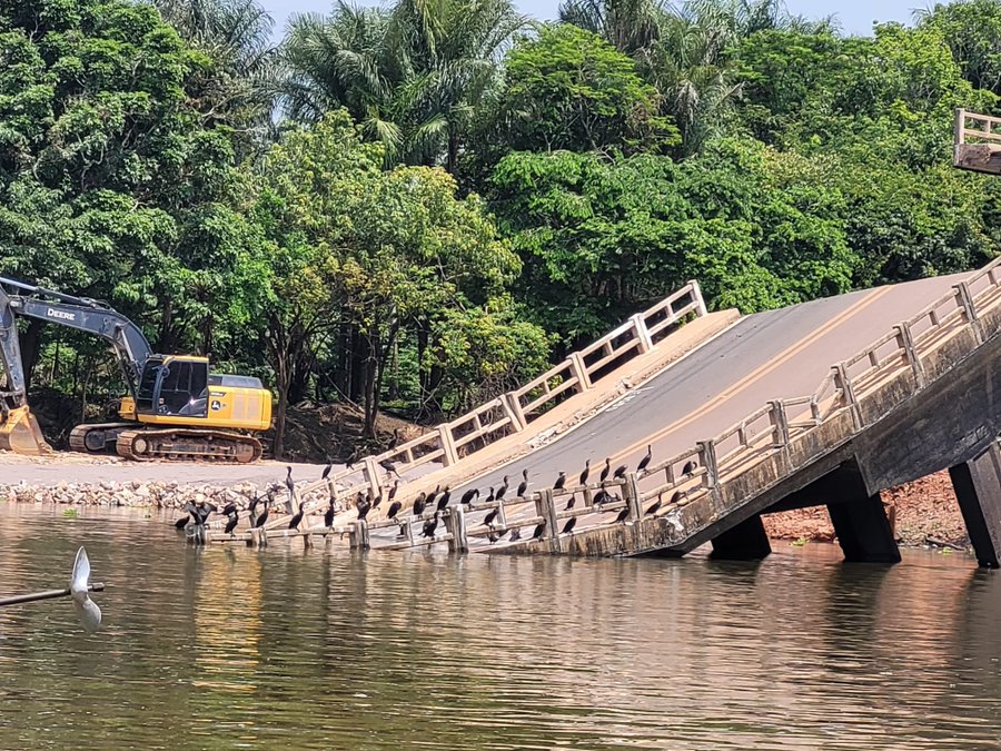 Road Amazon